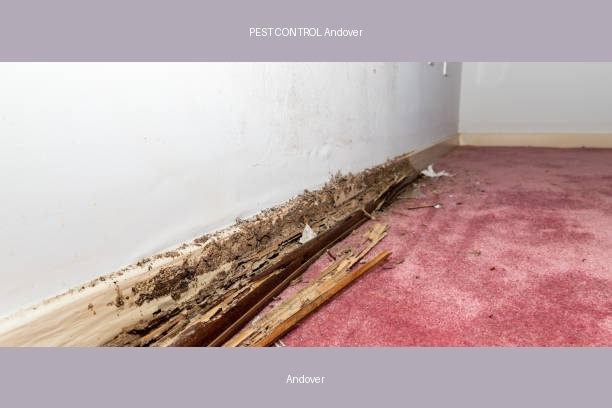 PEST CONTROL Andover